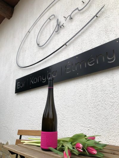 323687713_3434104576863540_2795838570954913601_n